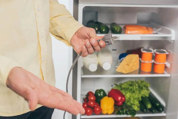 Vista cortada do homem segurando cabo de alimentação desconectado da geladeira isolado no branco — Fotografia de Stock