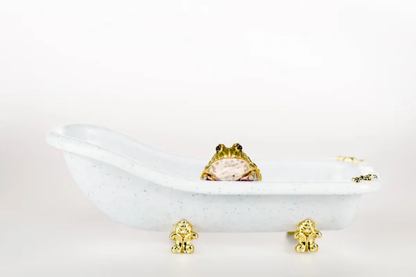 Mignonne grenouille verte dans petite baignoire de luxe isolée sur blanc — Photo de stock