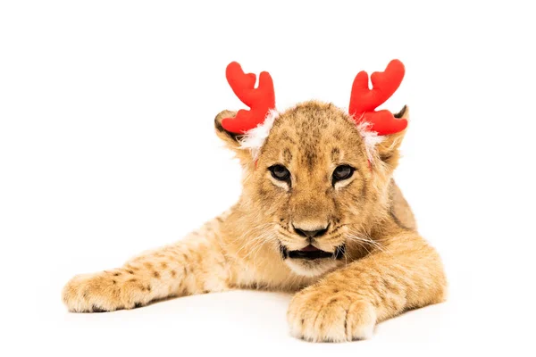 Filhote de leão bonito em chifres de veado vermelho headband isolado no branco — Fotografia de Stock