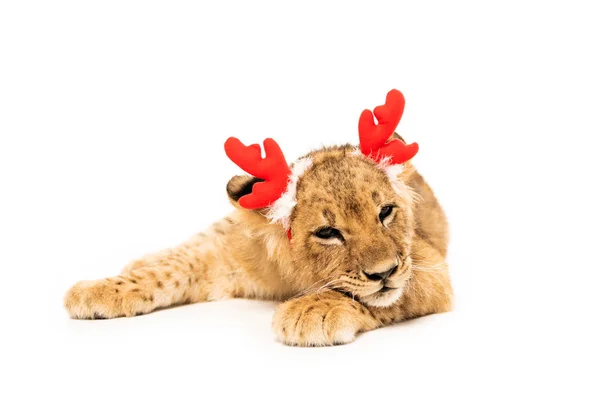 Cute lion cub in red deer horns headband isolated on white — Stock Photo