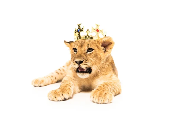 Cute lion cub in golden crown isolated on white — Stock Photo