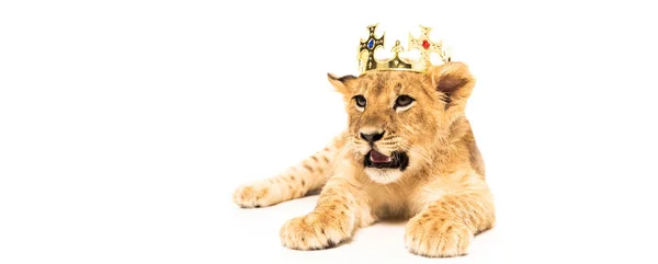 Niedliches Löwenjunges in goldener Krone isoliert auf weiß — Stockfoto