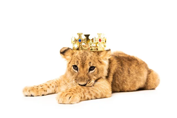 Cute lion cub in golden crown isolated on white — Stock Photo