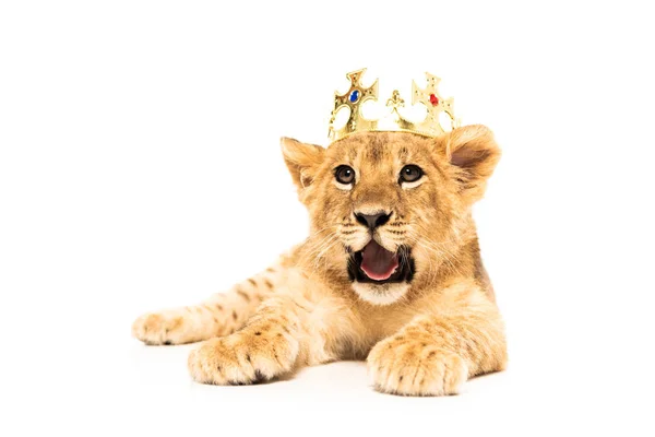 Cute lion cub in golden crown isolated on white — Stock Photo