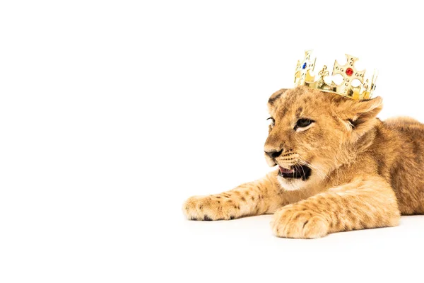 Cute lion cub in golden crown isolated on white — Stock Photo