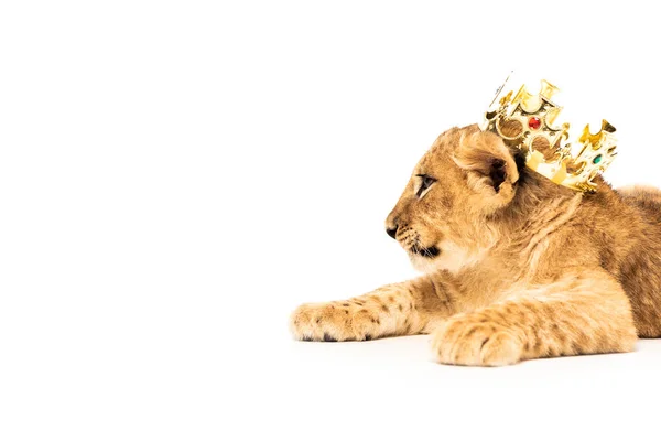 Niedliches Löwenjunges in goldener Krone isoliert auf weiß — Stockfoto