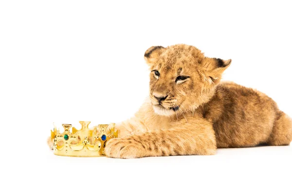 Cute lion cub near golden crown isolated on white — Stock Photo