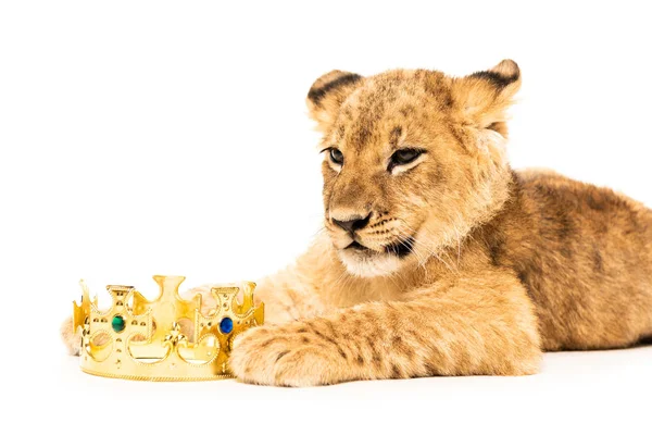 Cute lion cub near golden crown isolated on white — Stock Photo