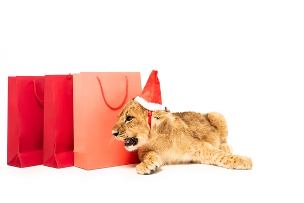 Carino cucciolo di leone in cappello di Babbo Natale vicino borse della spesa rosse isolato su bianco — Foto stock