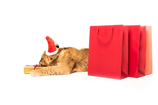 Cute lion cub in santa hat near golden gift and red shopping bags isolated on white — Stock Photo