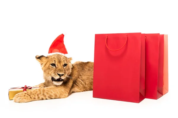 Carino cucciolo di leone in cappello di Babbo Natale vicino regalo d'oro e borse della spesa rosse isolato su bianco — Foto stock