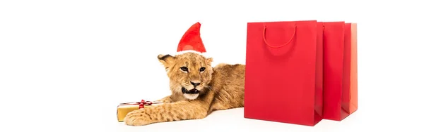 Cute lion cub in santa hat near golden gift and red shopping bags isolated on white, panoramic shot — Stock Photo