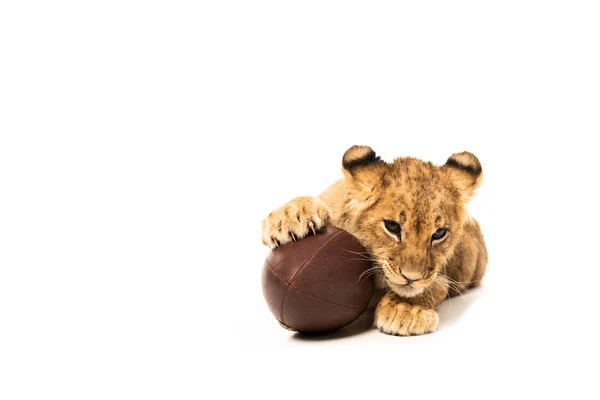 Cute lion cub near rugby ball isolated on white — Stock Photo