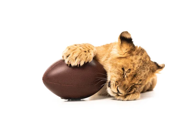 Petit lion mignon près de ballon de rugby isolé sur blanc — Photo de stock