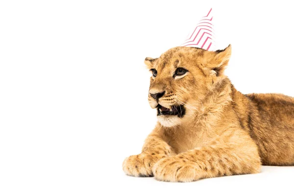 Lionceau mignon dans la casquette de fête isolé sur blanc — Photo de stock