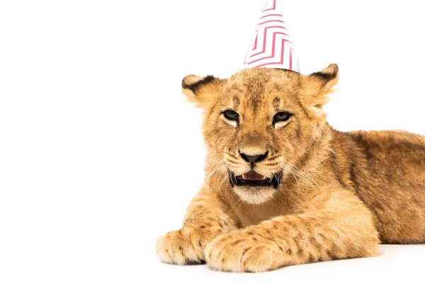 Lionceau mignon dans la casquette de fête isolé sur blanc — Photo de stock