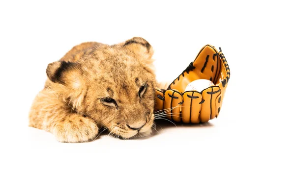 Cute lion cub near ball in baseball glove isolated on white — Stock Photo