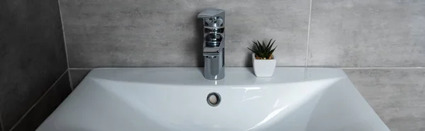 Panoramic shot of washbasin with plant in modern restroom — Stock Photo