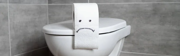 Toilet paper with sad emoticon on toilet bowl in modern restroom, panoramic shot — Stock Photo