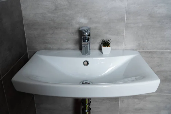 Lavabo limpio con planta en baño con baldosas grises - foto de stock