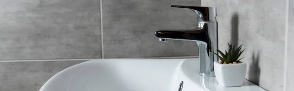 Panoramic shot of plant on white washbasin in modern restroom — Stock Photo