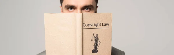 Серьезный адвокат скрывает лицо с авторским правом книга изолирована на серый — стоковое фото