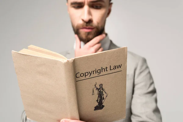 Serious lawyer reading book with copyright law title isolated on grey — Stock Photo