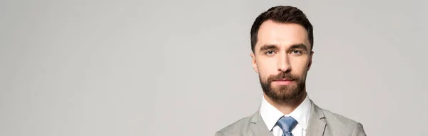 Panoramic shot of confident businessman looking at camera isolated on grey — Stock Photo