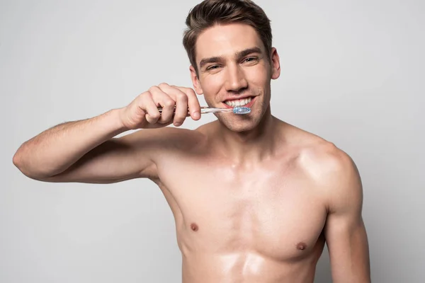 Smiling sexy man with bare torso brushing teeth isolated on grey — Stock Photo