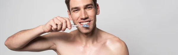 Smiling sexy man with bare torso brushing teeth isolated on grey, panoramic shot — Stock Photo