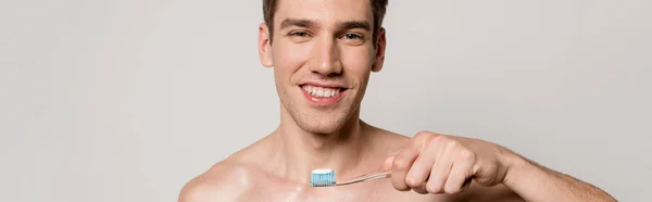 Smiling sexy man with bare torso holding toothbrush isolated on grey, panoramic shot — Stock Photo