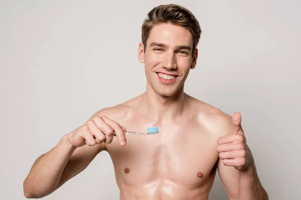 Smiling sexy man with bare torso holding toothbrush and showing thumb up isolated on grey — Stock Photo