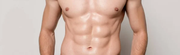 Ausgeschnittene Ansicht eines sexy Mannes mit muskulösem Oberkörper isoliert auf grauer, panoramischer Aufnahme — Stockfoto