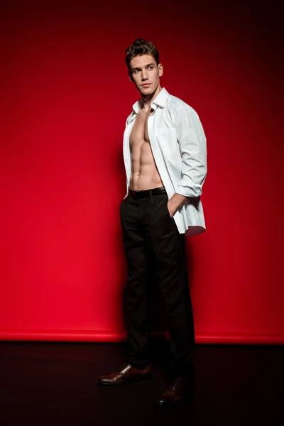 Sexy joven elegante hombre en camisa desabotonada con torso desnudo muscular y las manos en bolsillos sobre fondo rojo - foto de stock