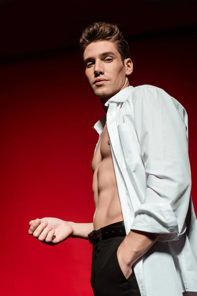 Vista de ángulo bajo de sexy joven elegante hombre en camisa desabotonada con torso desnudo muscular posando con la mano en el bolsillo sobre fondo rojo - foto de stock