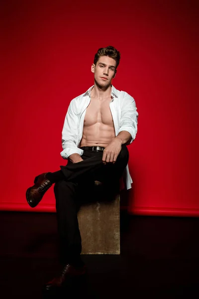 Sexy young elegant man in unbuttoned shirt with muscular bare torso posing on box on red background — Stock Photo