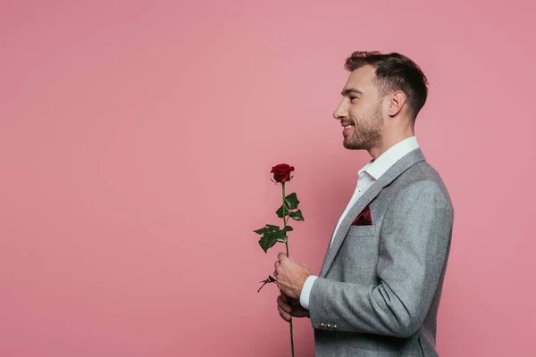 Smiling bearded man in suit holding red rose, isolated on pink — Stock Photo