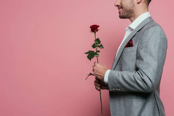 Vista cortada do homem de terno segurando flor de rosa vermelha, isolado em rosa — Fotografia de Stock