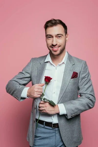 Homem barbudo alegre em terno segurando rosa vermelha, isolado em rosa — Fotografia de Stock