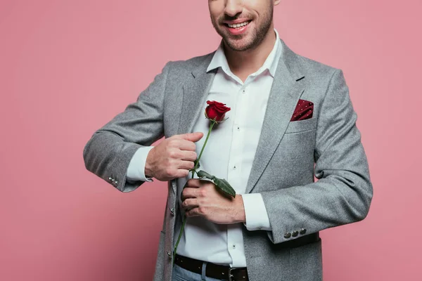 Vista recortada de hombre feliz en traje sosteniendo rosa roja, aislado en rosa - foto de stock
