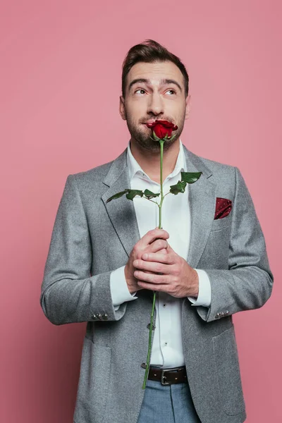 Dreamy man in suit holding red rose flower, isolated on pink — Stock Photo
