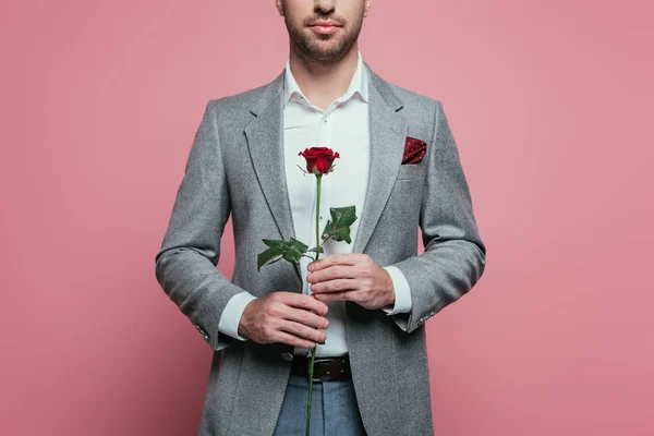 Vista recortada de hombre joven en traje sosteniendo rosa roja, aislado en rosa - foto de stock