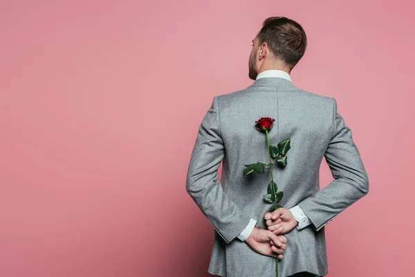 Vista trasera del hombre en traje sosteniendo rosa roja, aislado en rosa - foto de stock