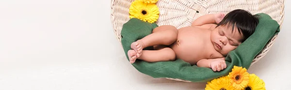 Plan panoramique de bébé de race mixte nouveau-né dormant dans le panier près des fleurs sur blanc — Photo de stock