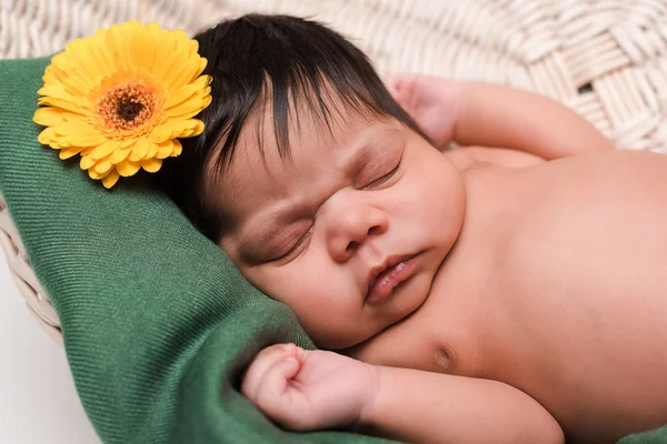 Новорожденный ребенок смешанной расы спит в корзине рядом с цветом — стоковое фото