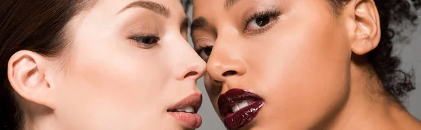 Plano panorámico de tiernas chicas multiétnicas con piel perfecta, aisladas en gris - foto de stock