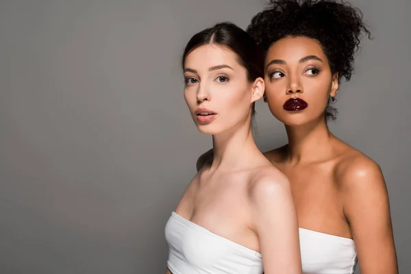 Portrait de jolies filles multiculturelles à la peau parfaite, isolées sur gris — Photo de stock