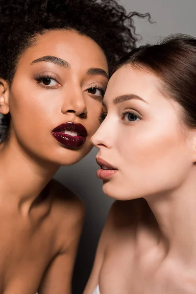 Retrato de belas meninas multiétnicas com pele perfeita, em cinza — Fotografia de Stock