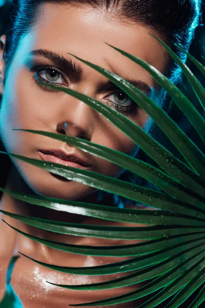 Молодая привлекательная женщина покрывает лицо пальмовым листом — стоковое фото