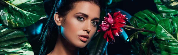 Panoramic shot of young sexy woman near red flower and green leaves — Stock Photo